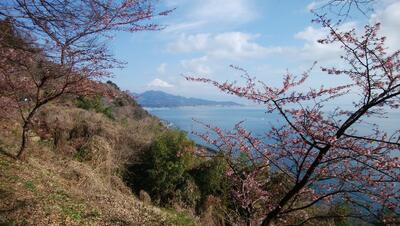 さった峠より望む富士山